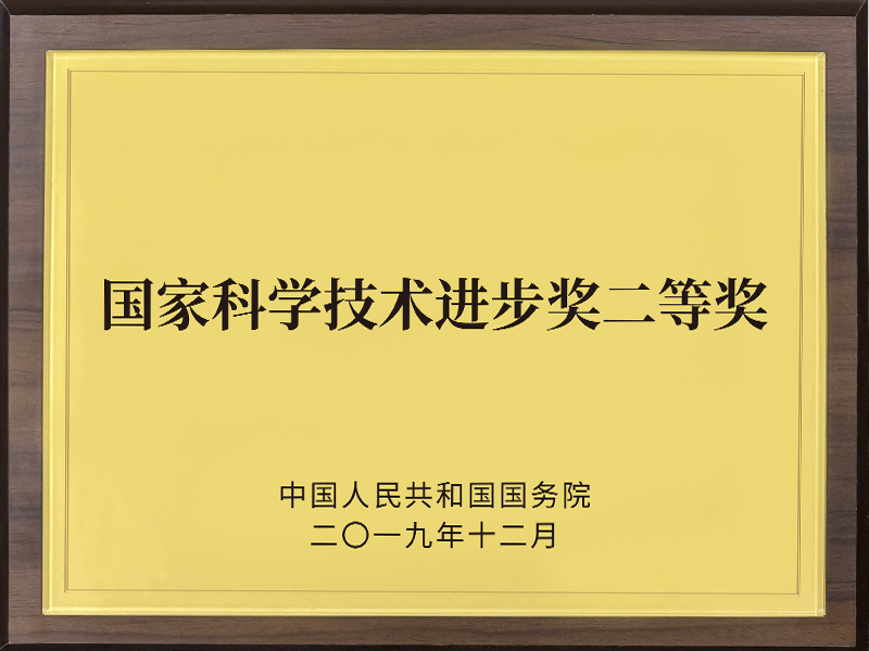 國家科學(xué)技術(shù)進(jìn)步獎(jiǎng)二等獎(jiǎng)2019年